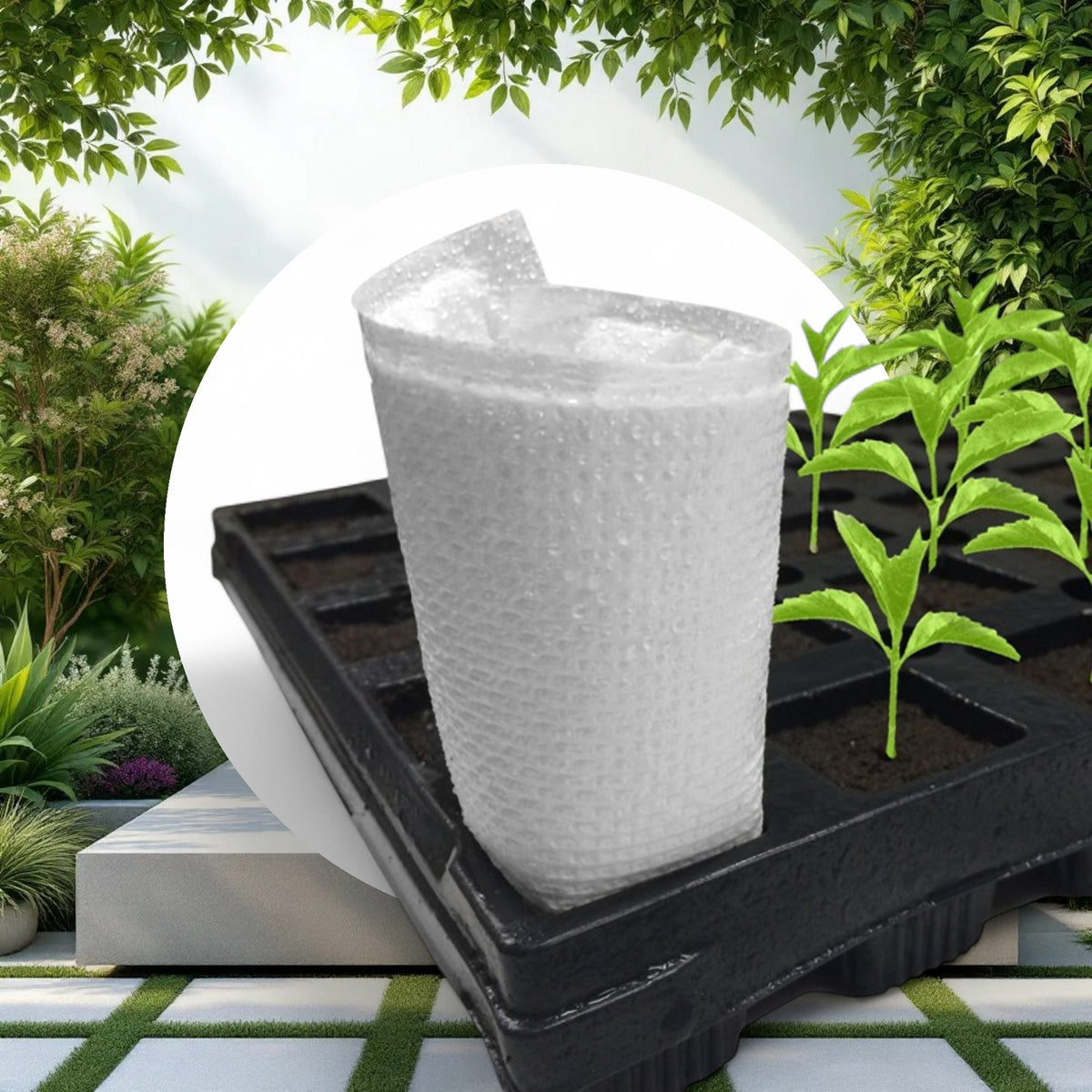 EZ CO2 Pads (10pcs/Pack) - Image 5