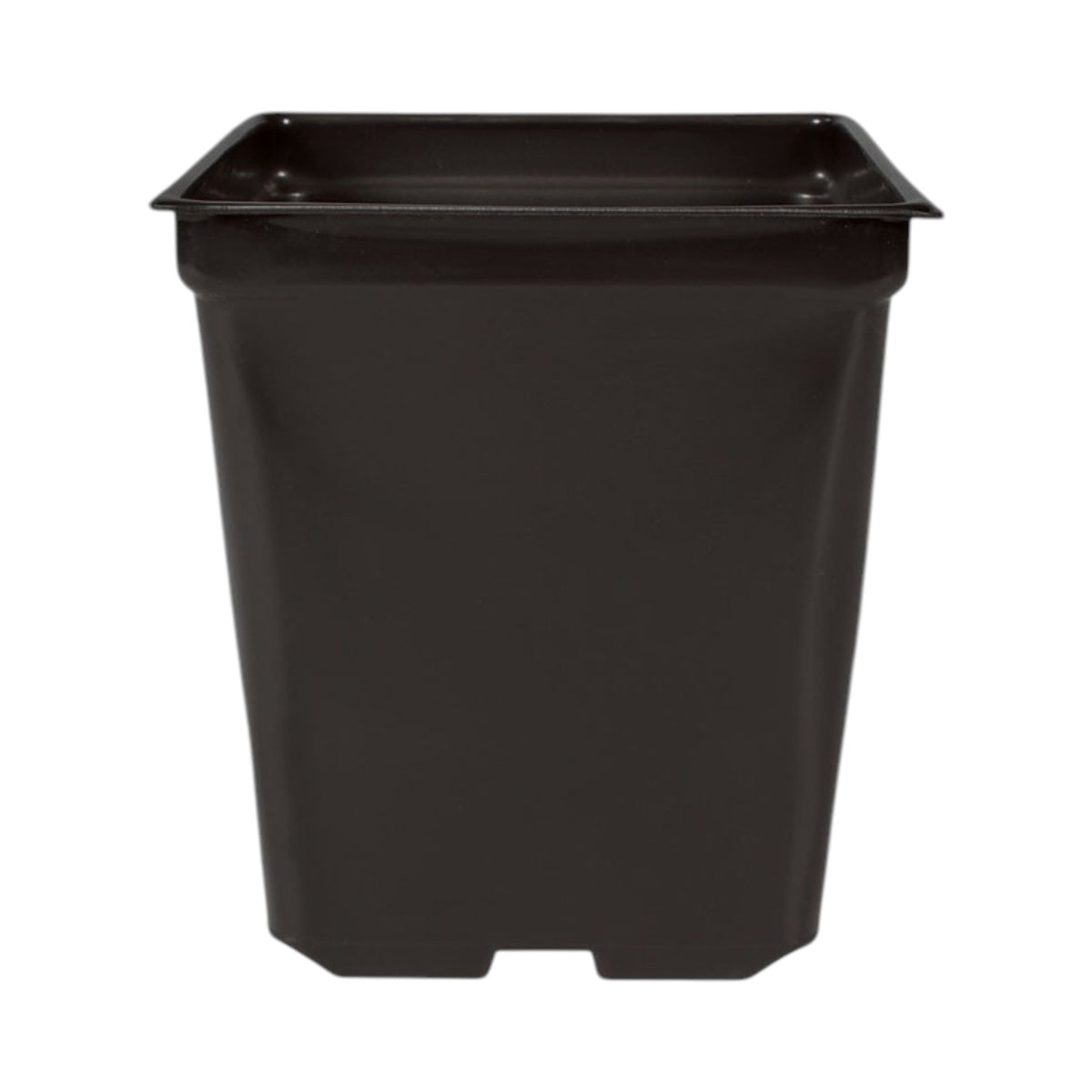 5'' x 5'' x 4.5'' Square 1.25qt Square Pot