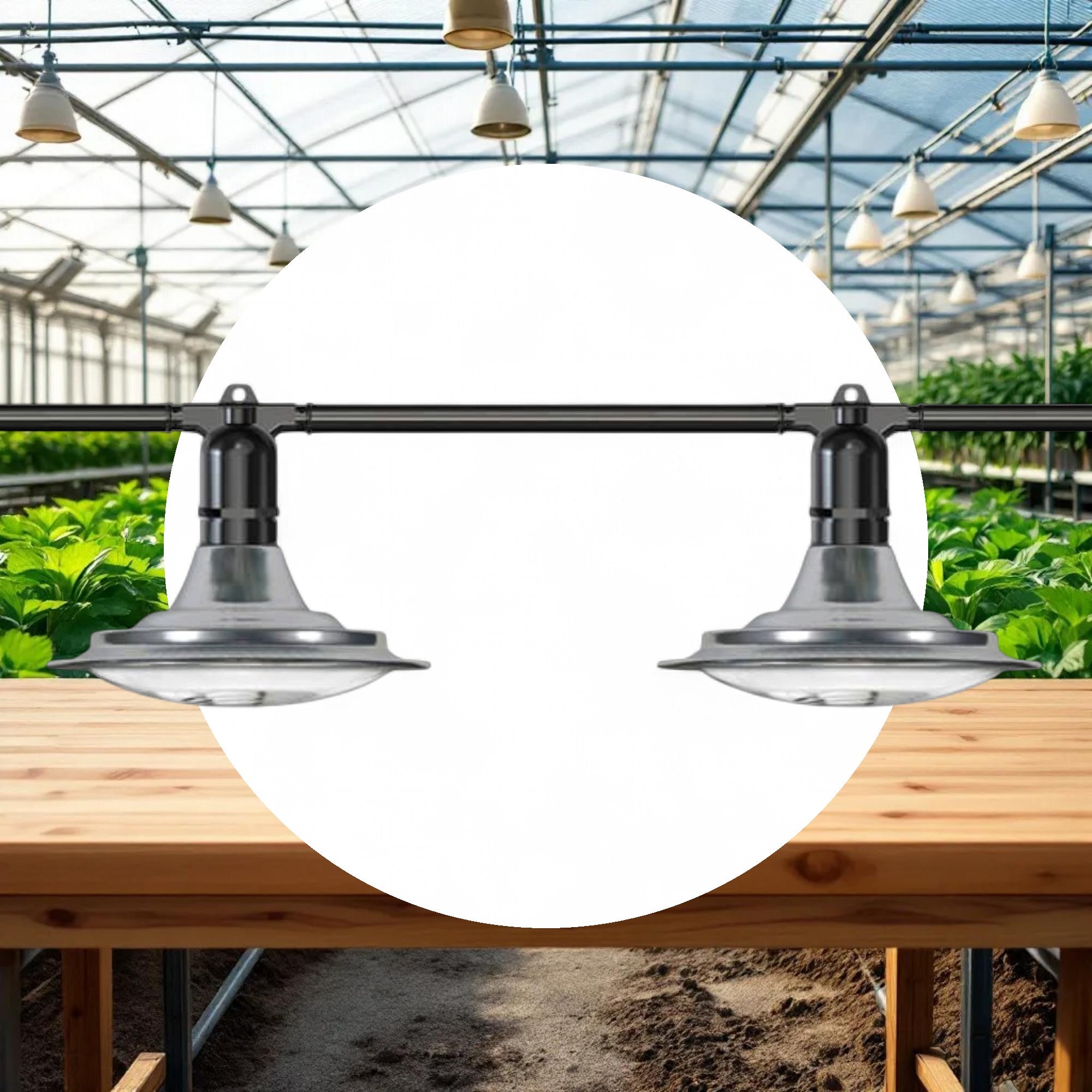 100' Greenhouse Expandable String Lights 14AWG w/ 12W LED 6500K Grow LED Bulbs (48 bulbs) - Image 2
