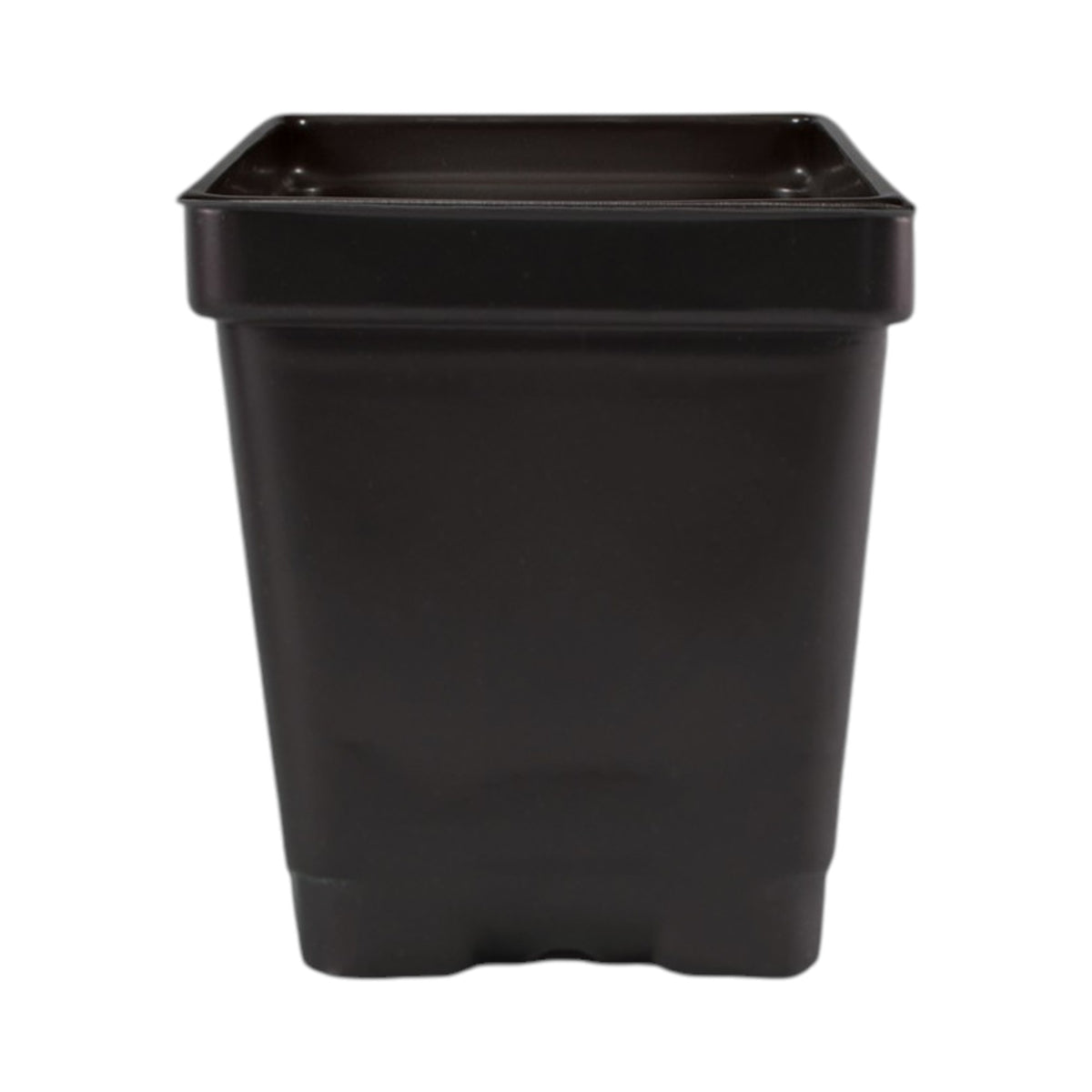 3.25'' x 3.25'' x 3.5'' 0.5qt Square Pot