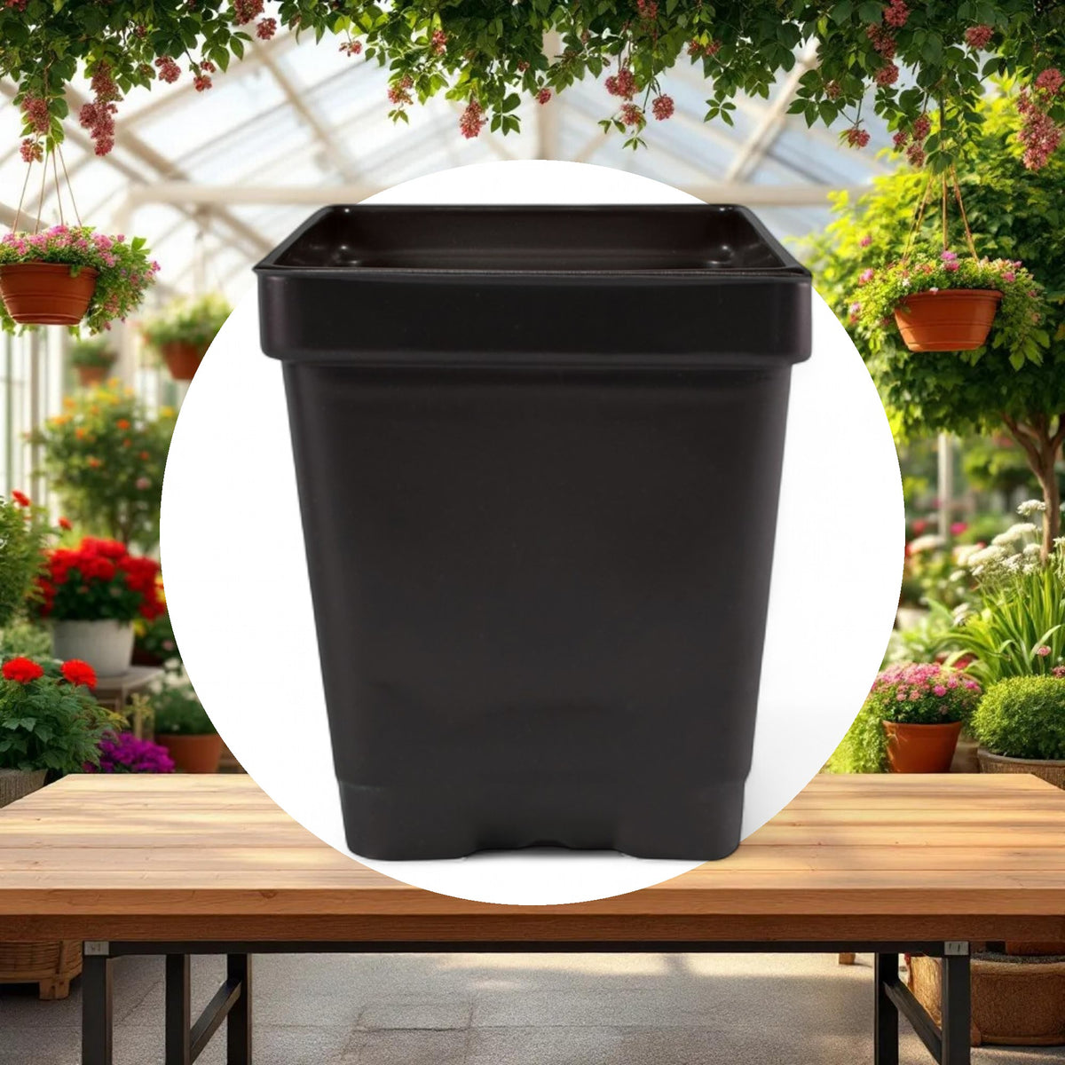 3.25'' x 3.25'' x 3.5'' 0.5qt Square Pot - Image 2