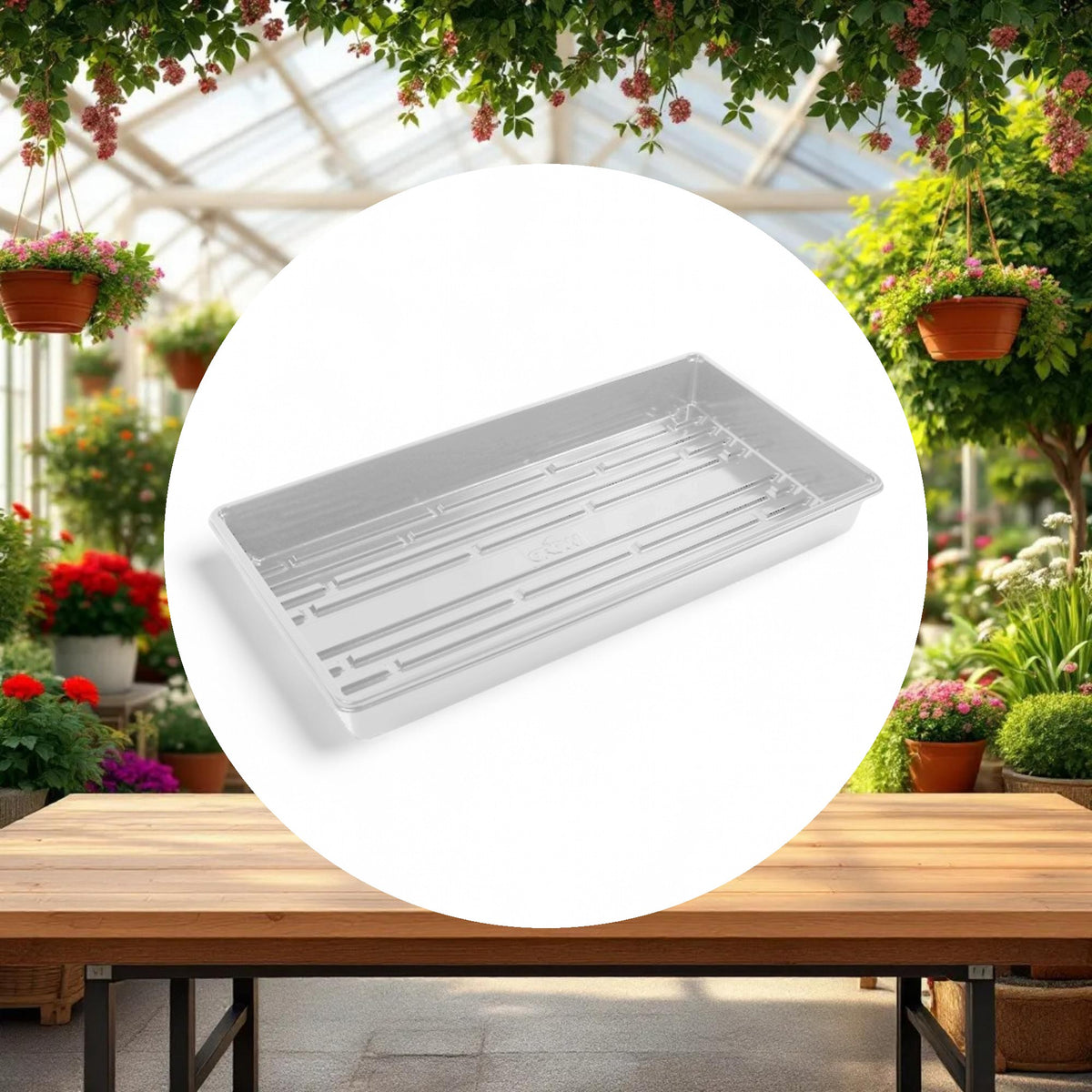 Standard Propagation Tray w/o Drain Holes White (10in x 20in) - Image 3