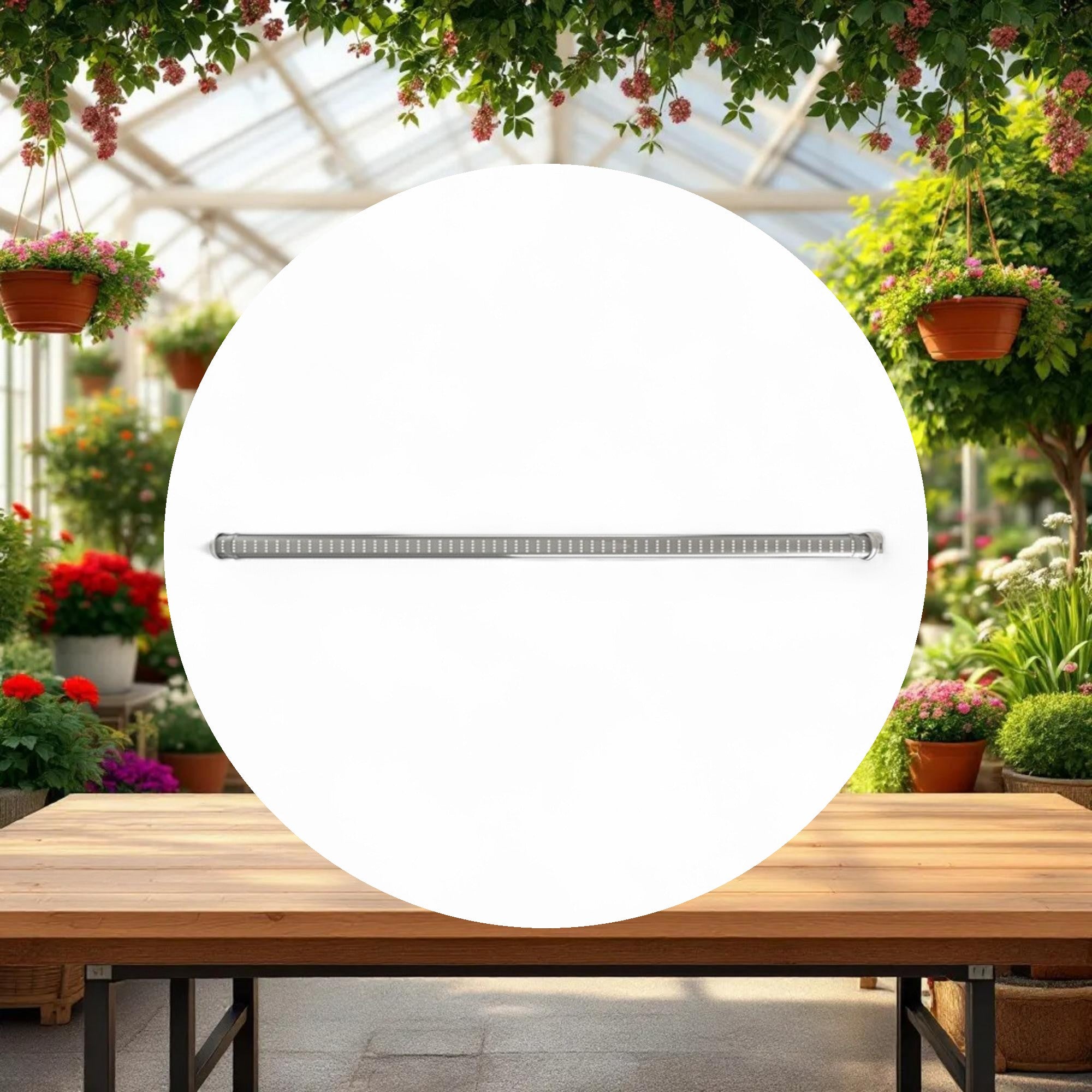 Secret Jardin TLED 42W US L38" GROWING v1.0 - Image 3