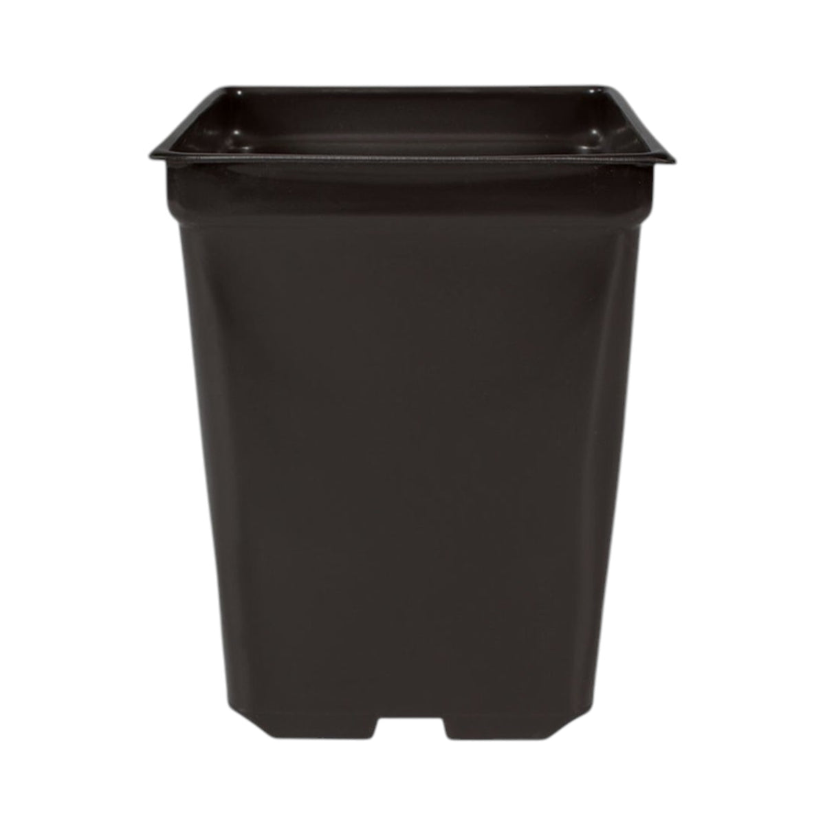 Square Pot 2qt 5.5in x 5.5in x 6in