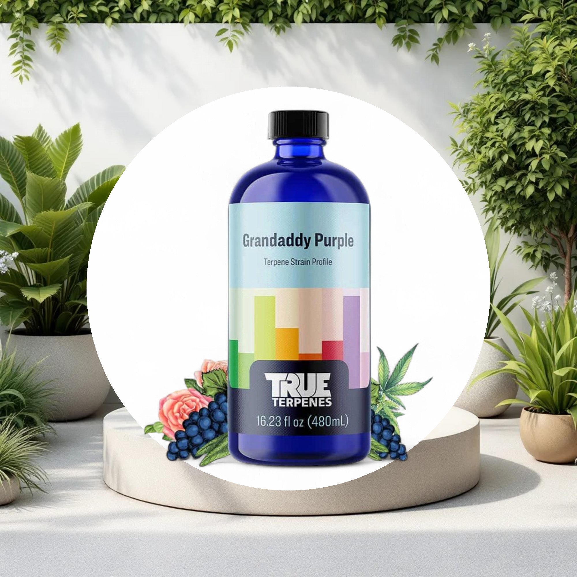 True Terpenes Granddaddy Purple Profile 4oz - Image 2