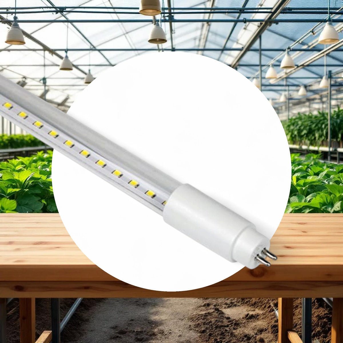 4' SupremeLux 24w T5 LED Bulbs - Full Spectrum White 6500k - Image 2
