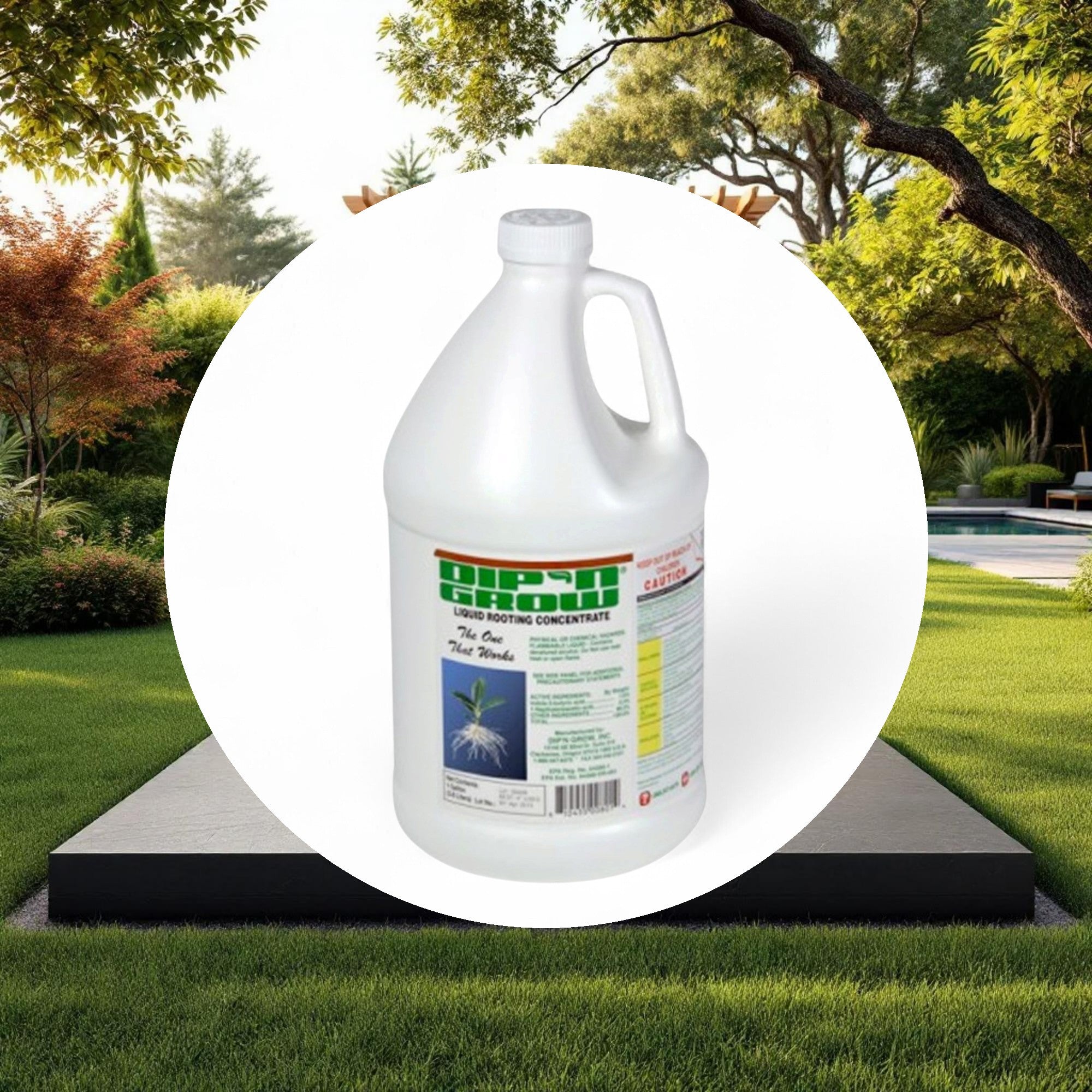 Dip 'N' Grow Liquid Rooting Concentrate 1 Gallon - Image 4