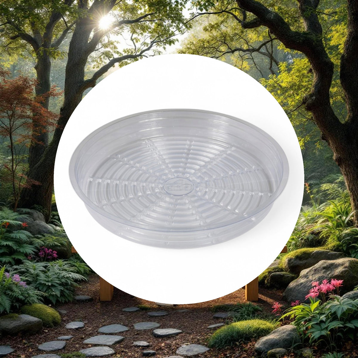Grow1 6'' Clear Plastic Pot Saucer - Image 5