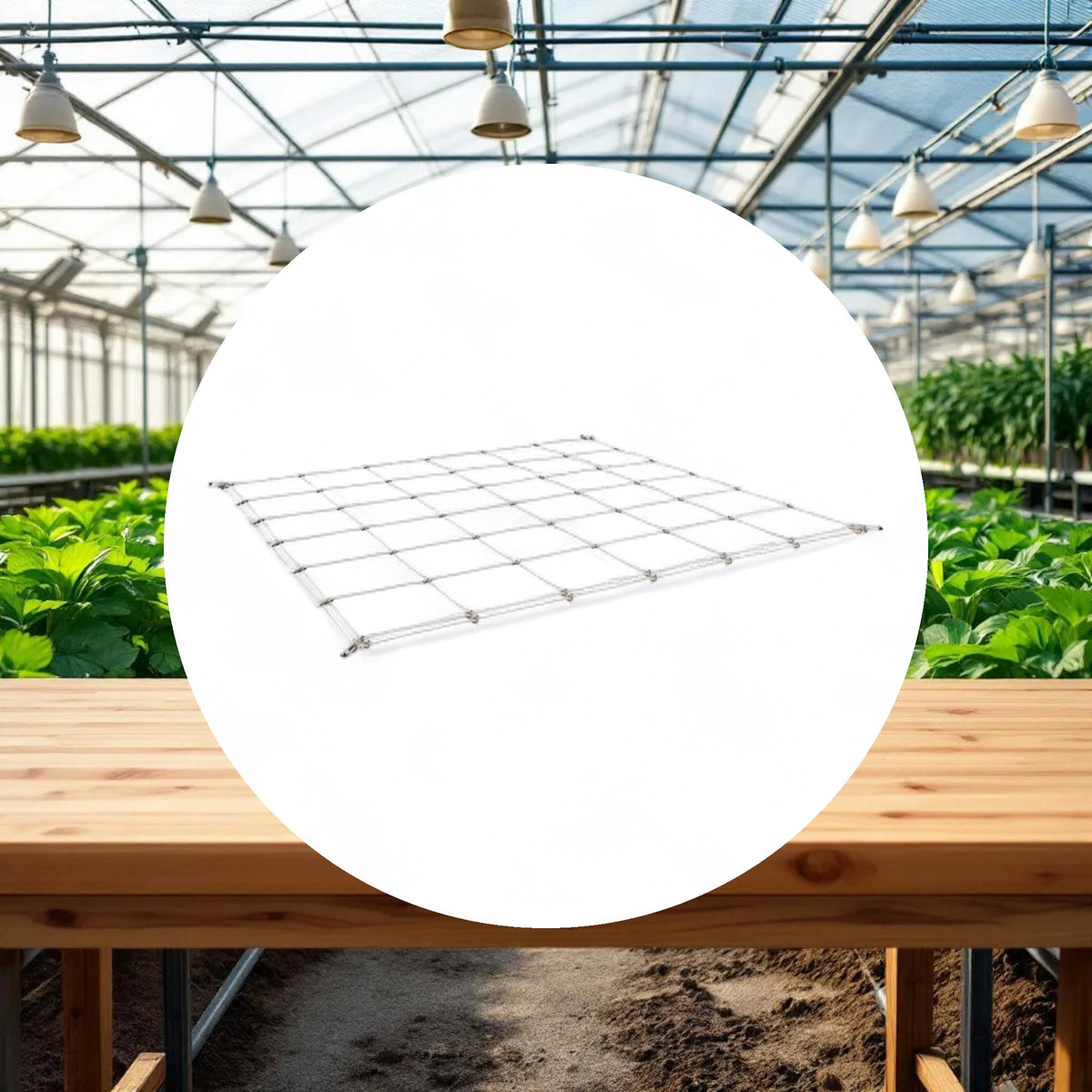 GROW1 Grow Tent Flexible Trellis Netting 3ft x 3ft 4in+6in Holes (2 Pack) - Image 2