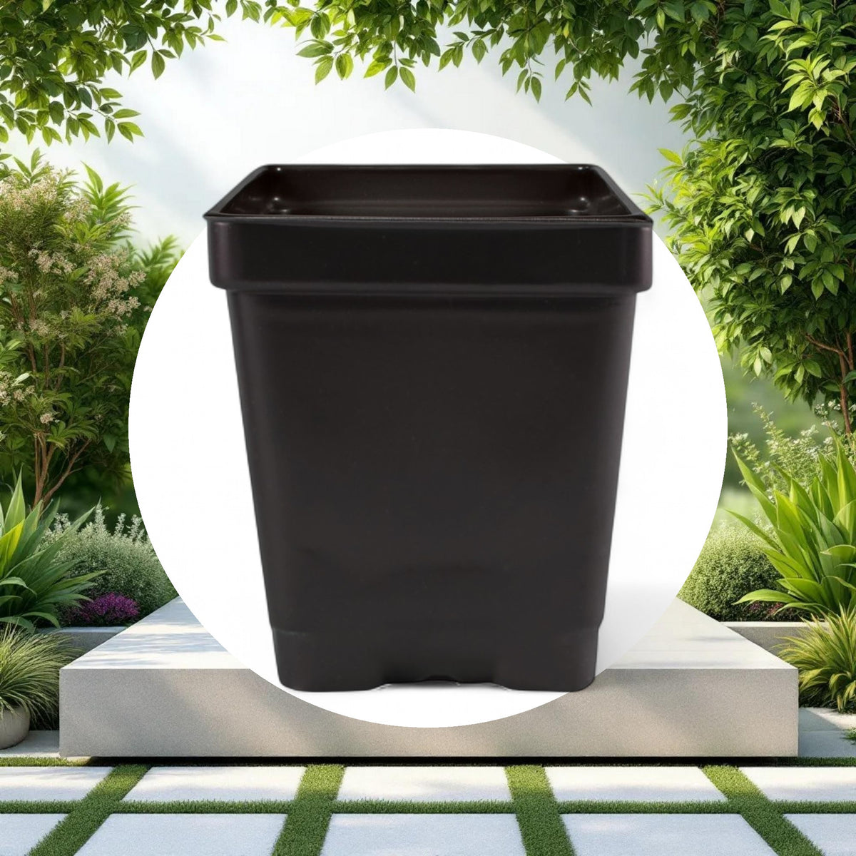 3.25'' x 3.25'' x 3.5'' 0.5qt Square Pot - Image 3