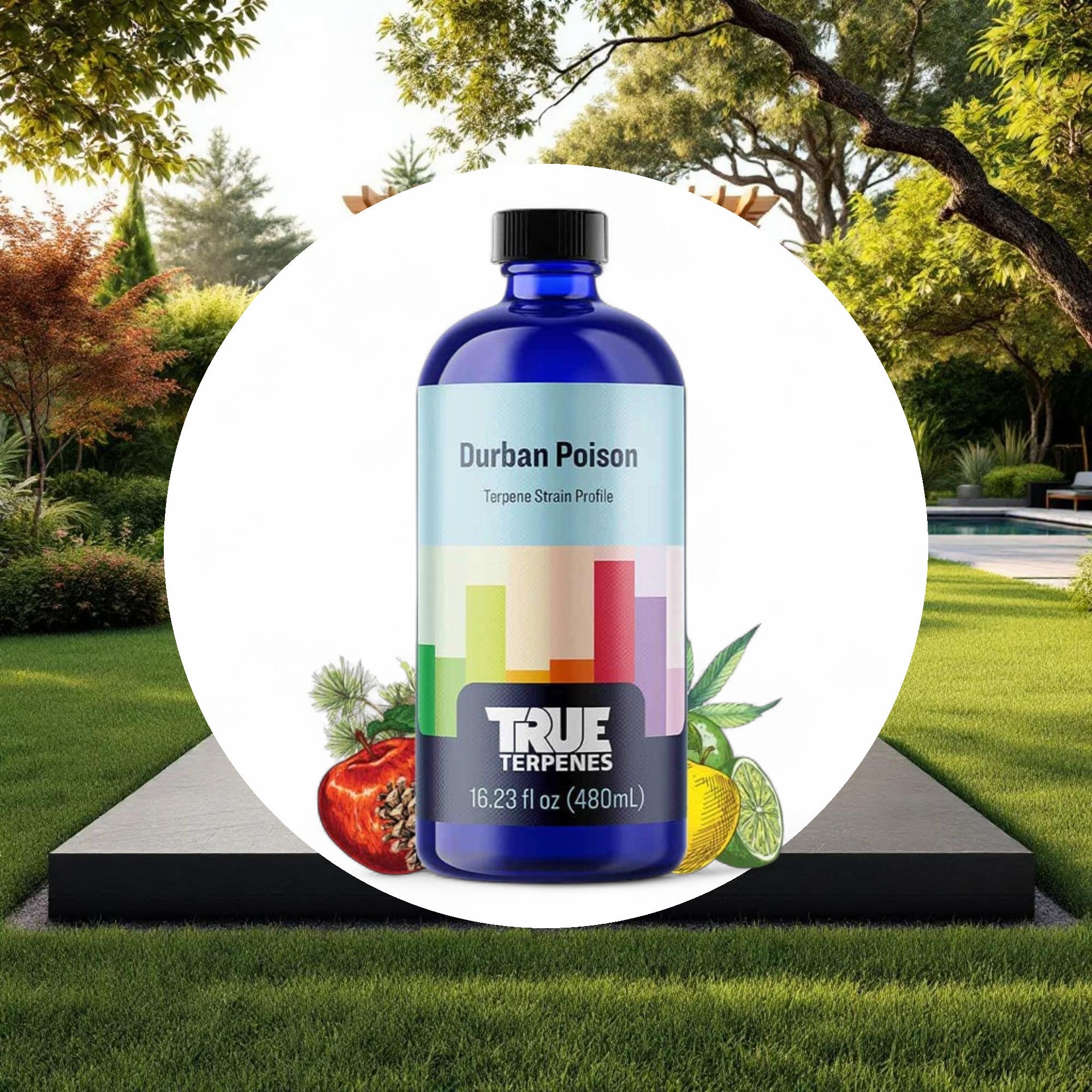 True Terpenes Durban Poison Profile 4oz - Image 4