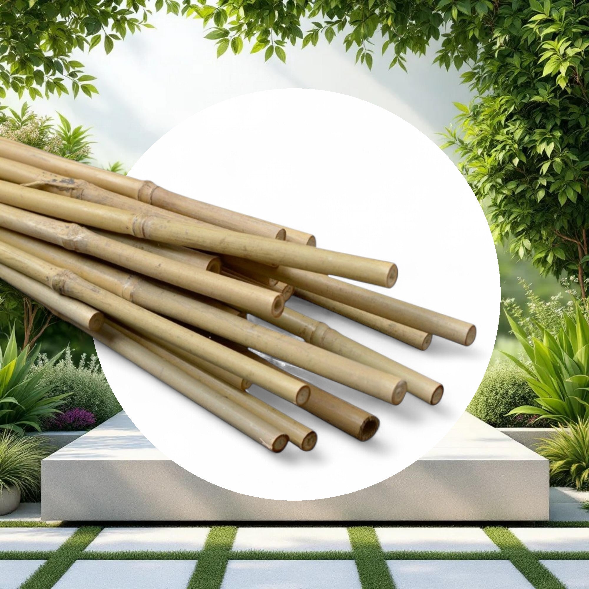Natural Bamboo Stakes 5ft 10-12mm (250pcs/Bale) - Image 2