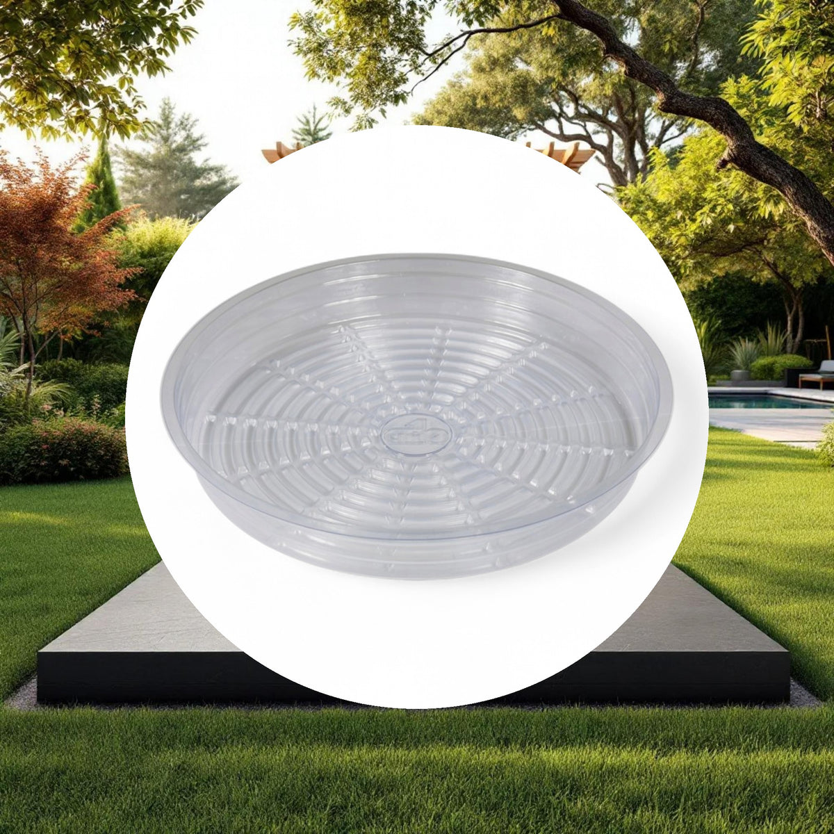Grow1 8" Clear Plastic Pot Saucer - Image 4