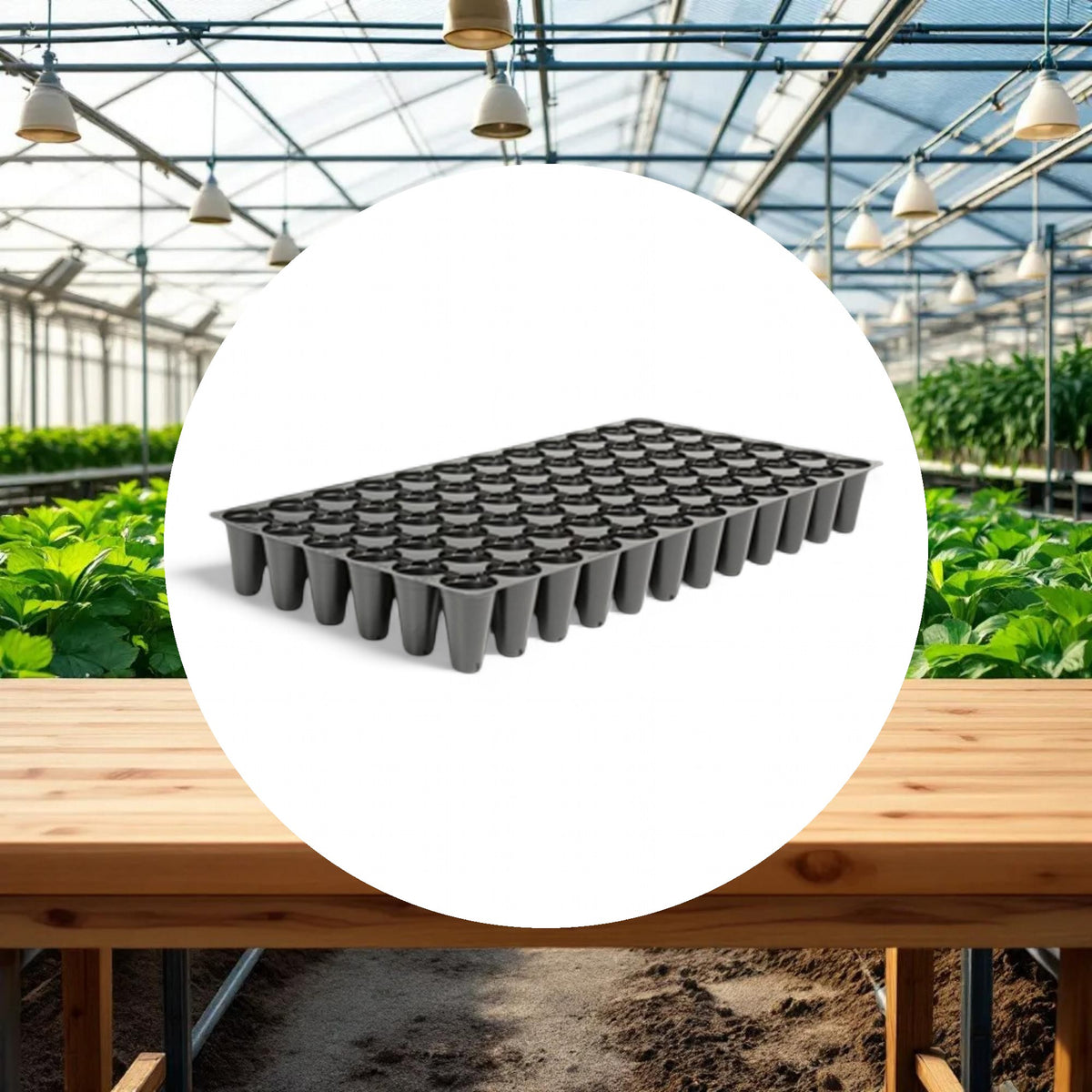 10" x 20" 72 Cell Round Seedling Tray - Image 2