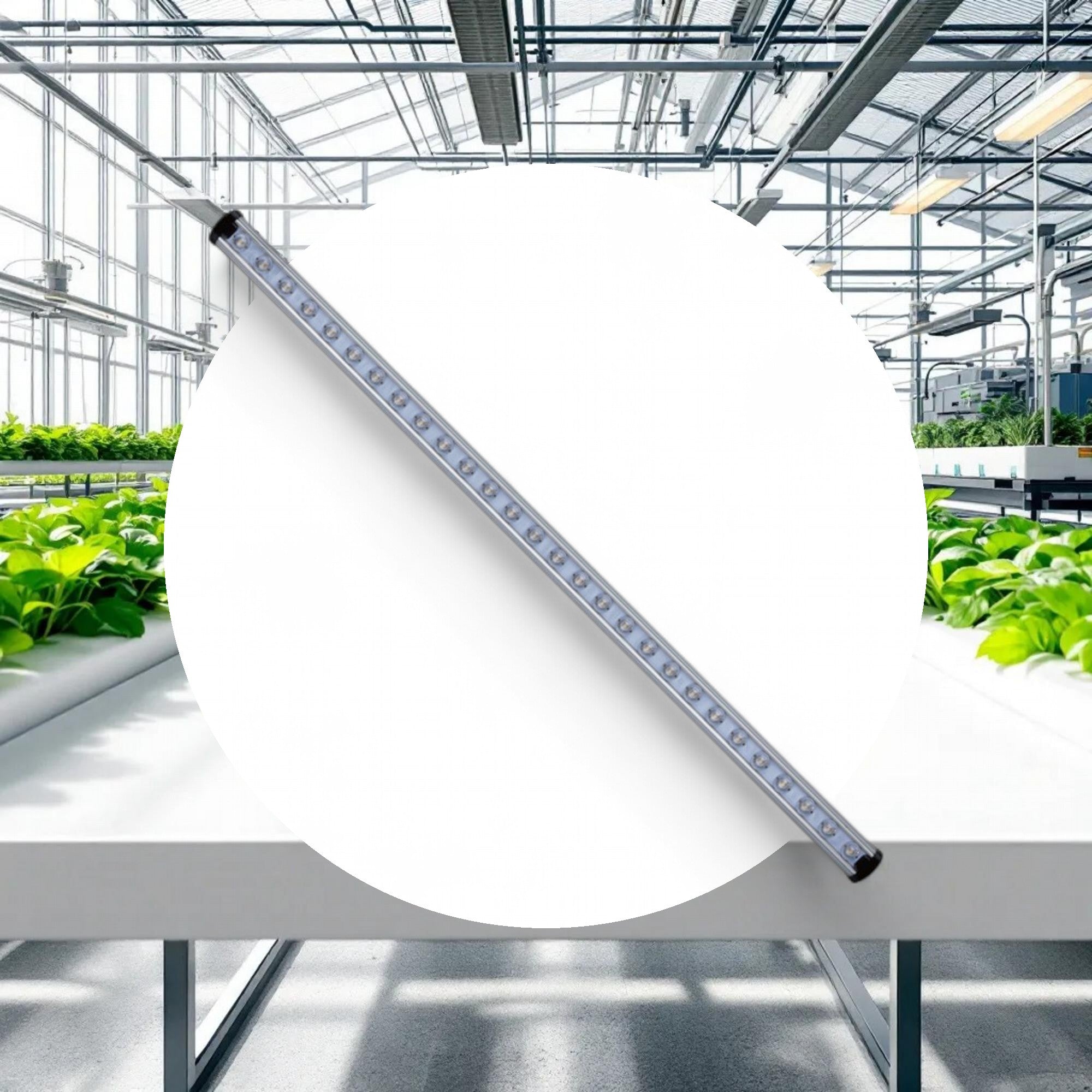 MINT Wand 4' LED Veg (7800lm) - Image 2