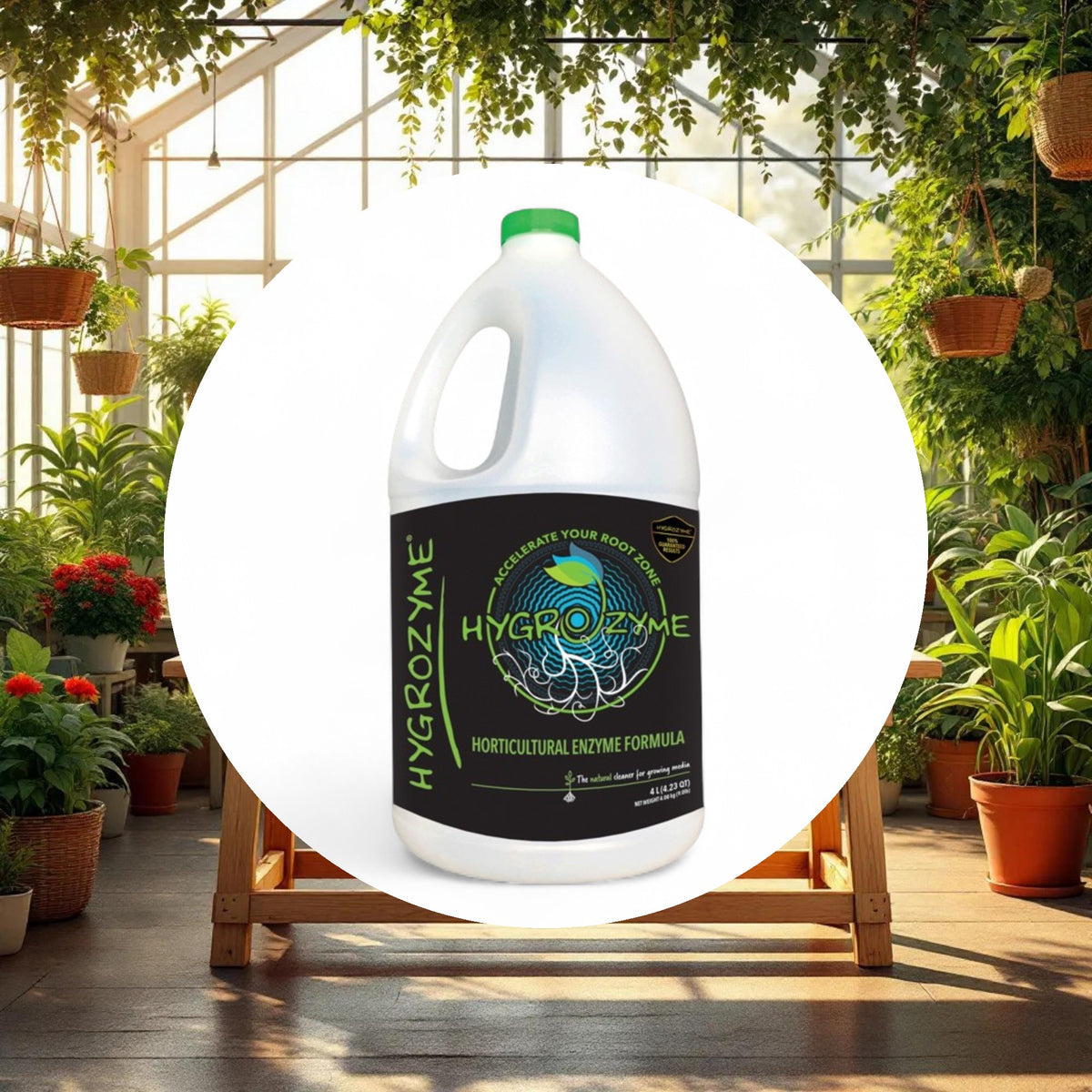 HYGROZYME Horticultural Enzyme Formula 4L - Image 2