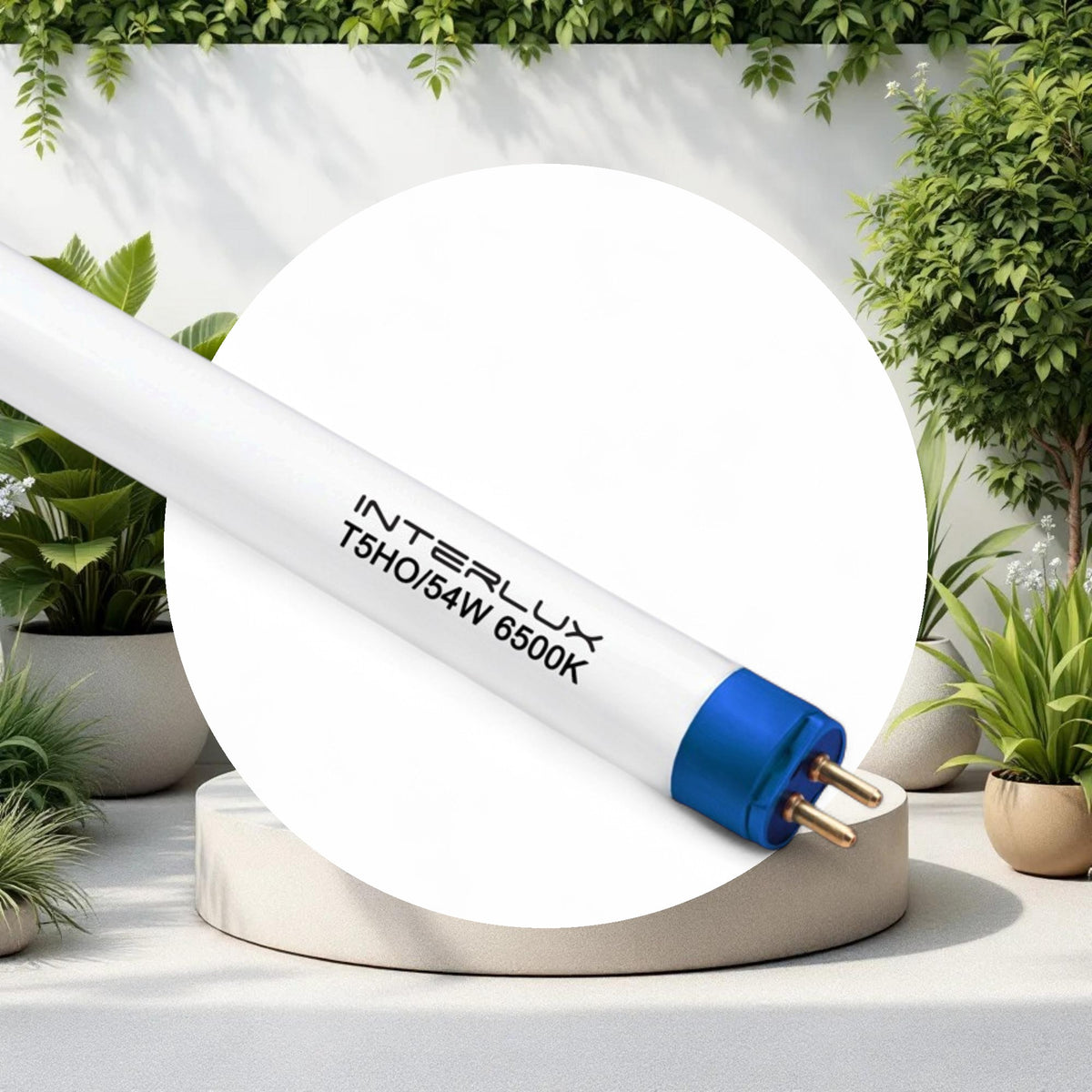 T5 Grow Bulb 2' (6500k) - Image 2