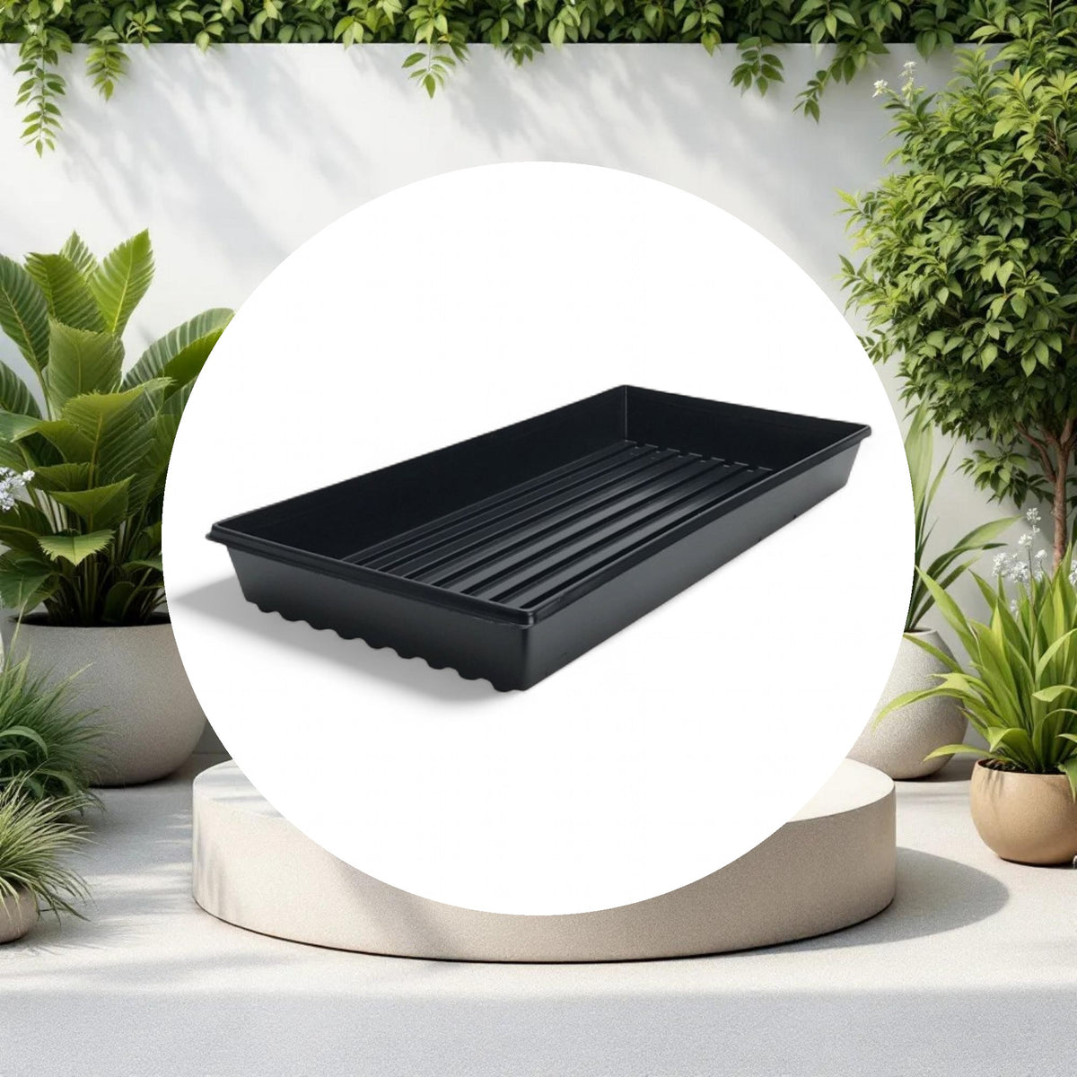 Standard Propagation Tray w/o Drain Holes (10in x 20in) - Image 2