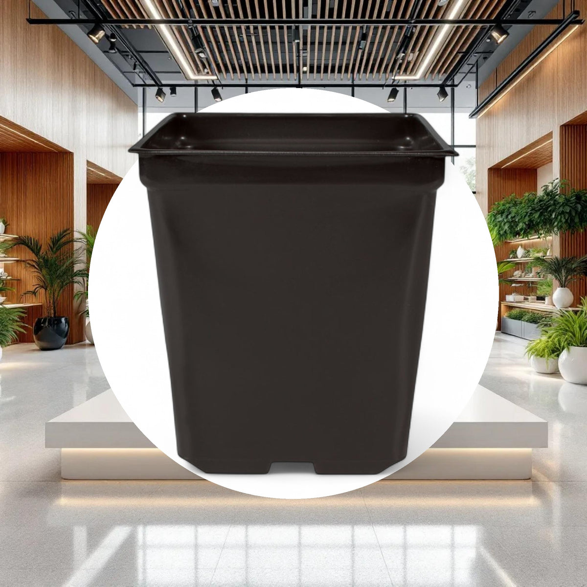 5'' x 5'' x 4.5'' Square 1.25qt Square Pot - Image 2