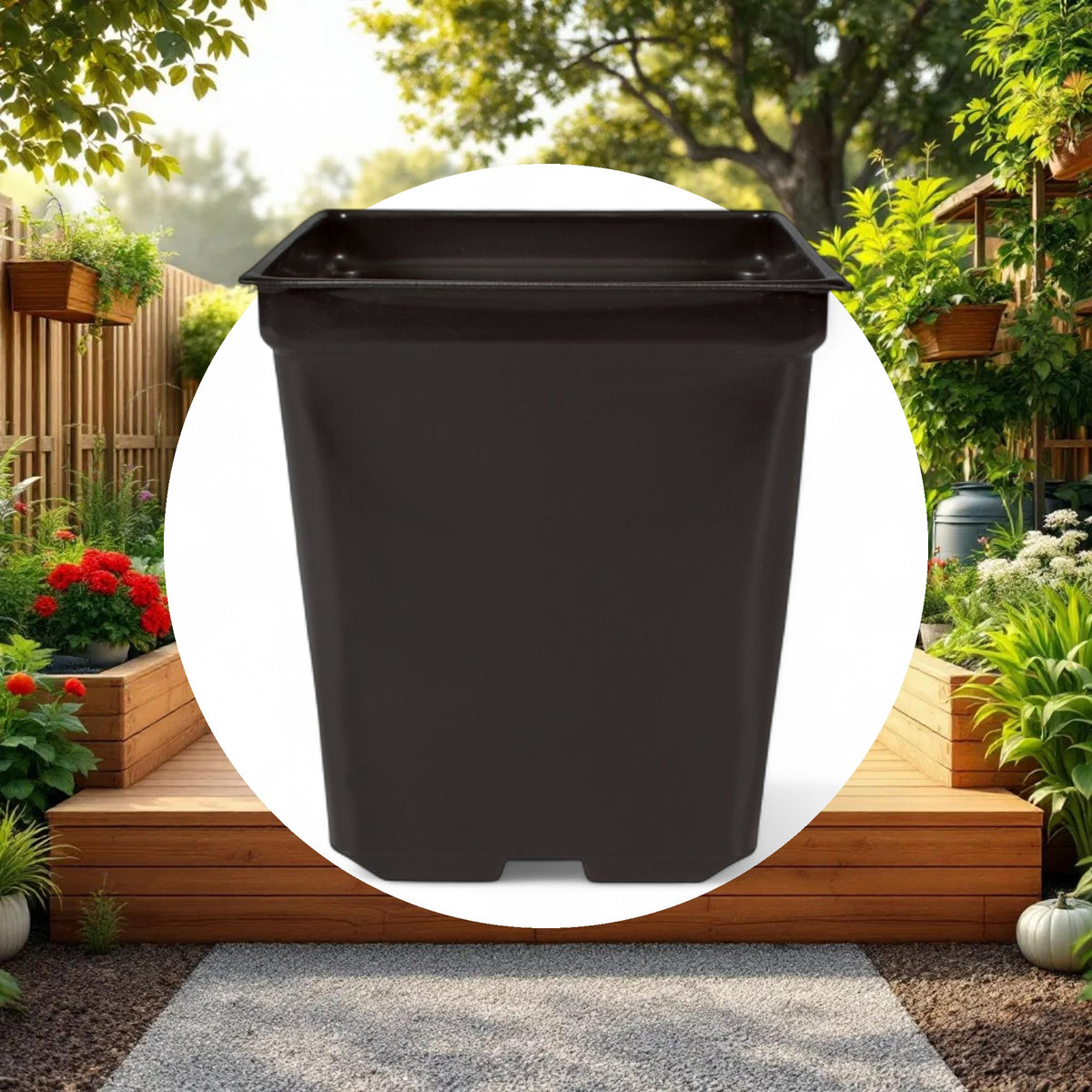 5'' x 5'' x 4.5'' Square 1.25qt Square Pot - Image 4