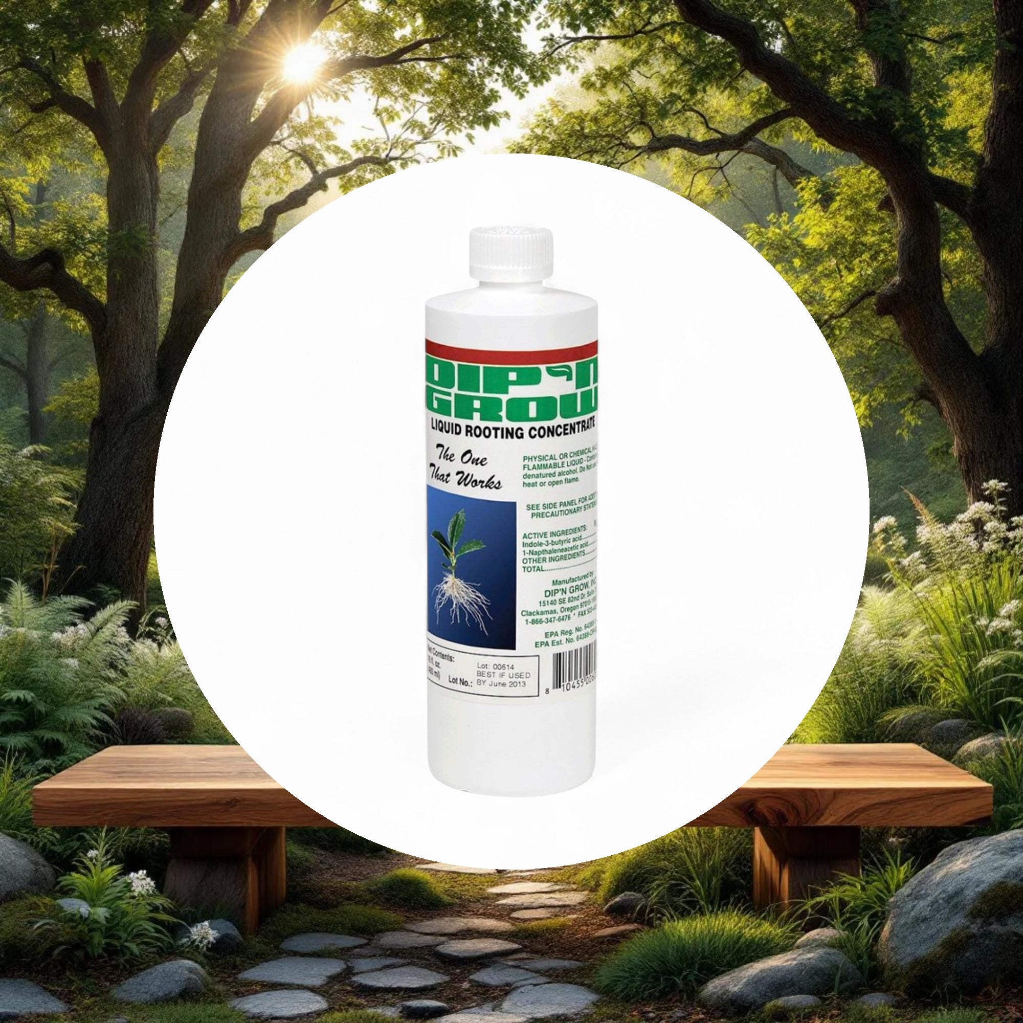 Dip 'N' Grow Liquid Rooting Concentrate 16 fl oz - Image 5