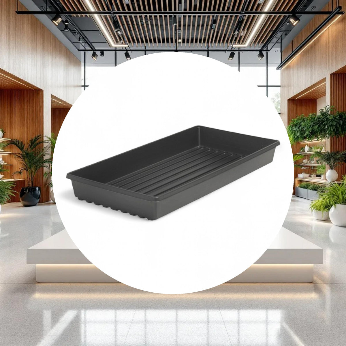 Premium Propagation Tray w/o Drain Holes USA (10in x 20in) - Image 3