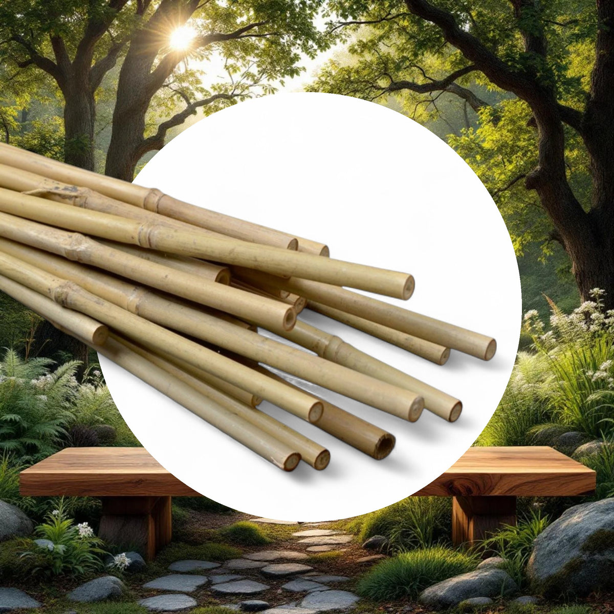 Natural Bamboo Stakes 6ft 12-14mm (100pcs/Bale) - Image 5