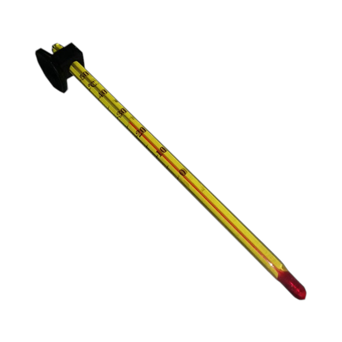 Aquavita Thermometer