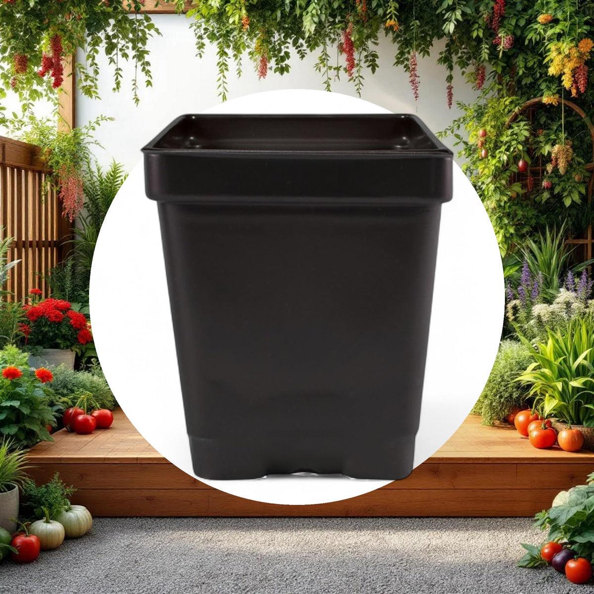 3.25'' x 3.25'' x 3.5'' 0.5qt Square Pot - Image 4