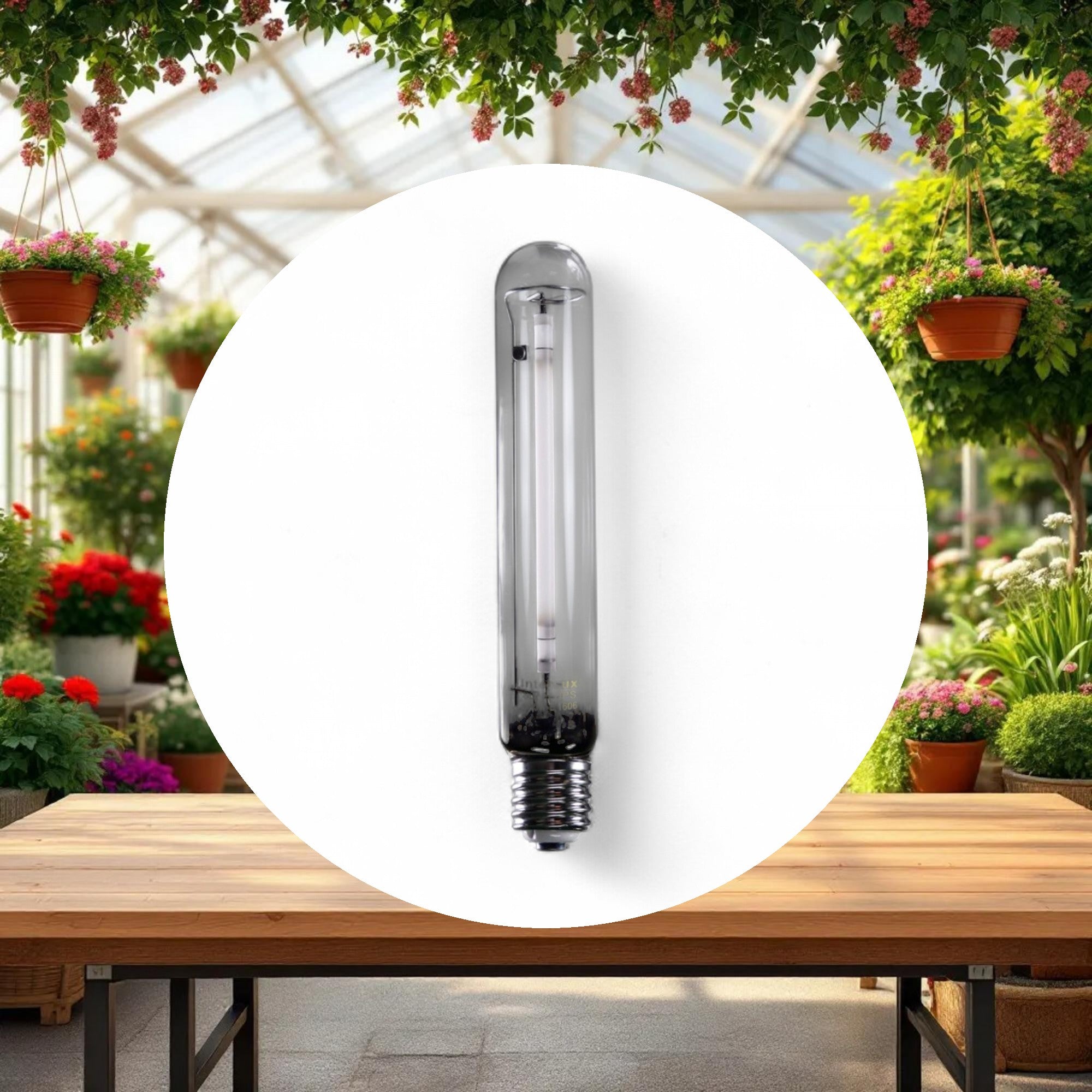 InterLux 600W EXTREME HPS Lamp - Image 3