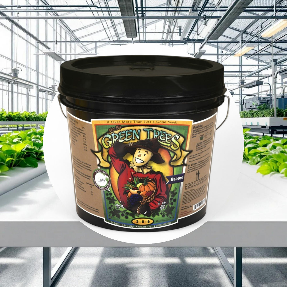 Mr. B's Green Trees Organic Bloom 8lbs (1gal) - Image 2