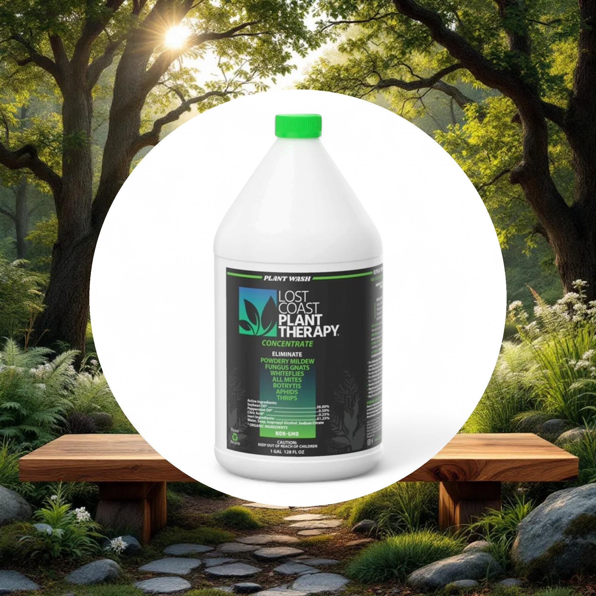 Lost Coast Plant Therapy Plant Therapy 1 Gallon - Image 5