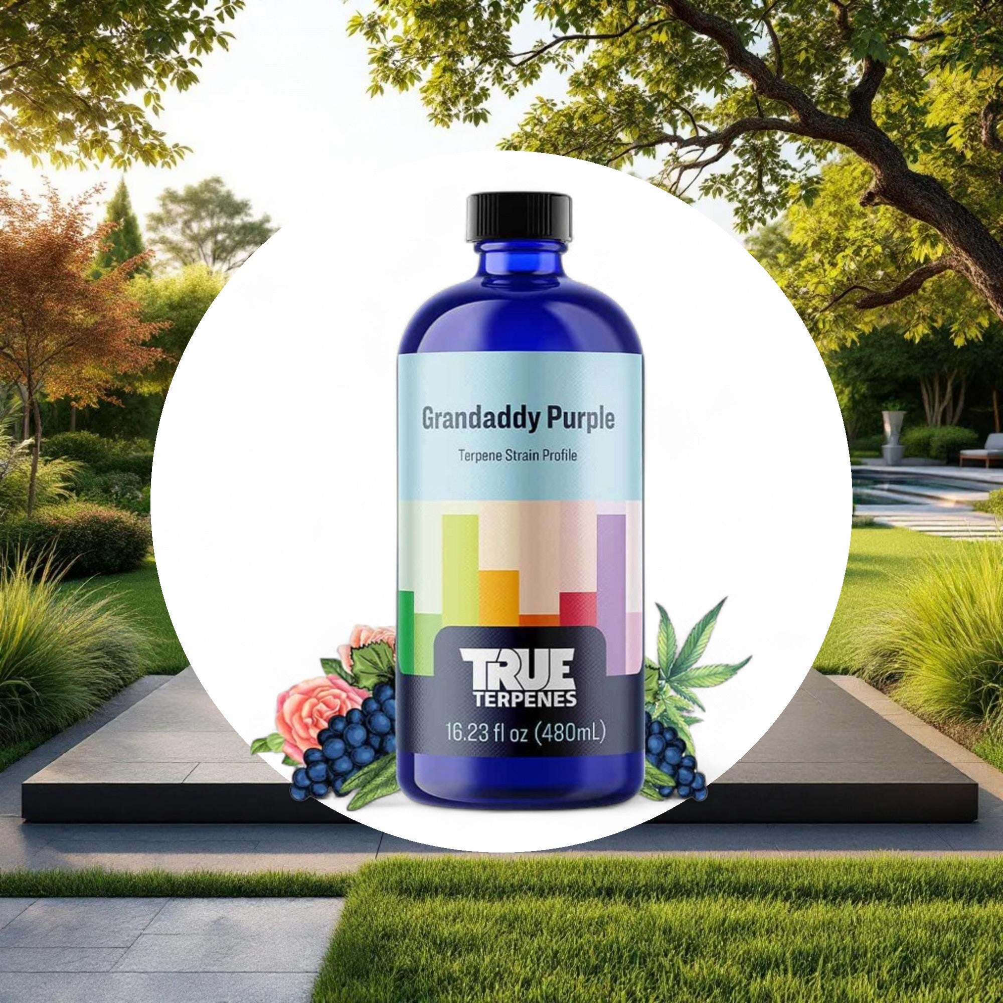 True Terpenes Granddaddy Purple Profile 4oz - Image 4