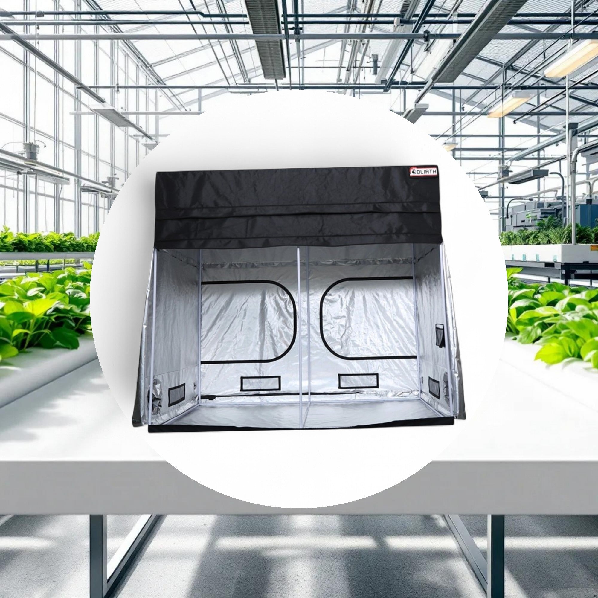 Goliath Grow Tent 4ft x 8ft x 6ft11in - 7ft11in - Image 2