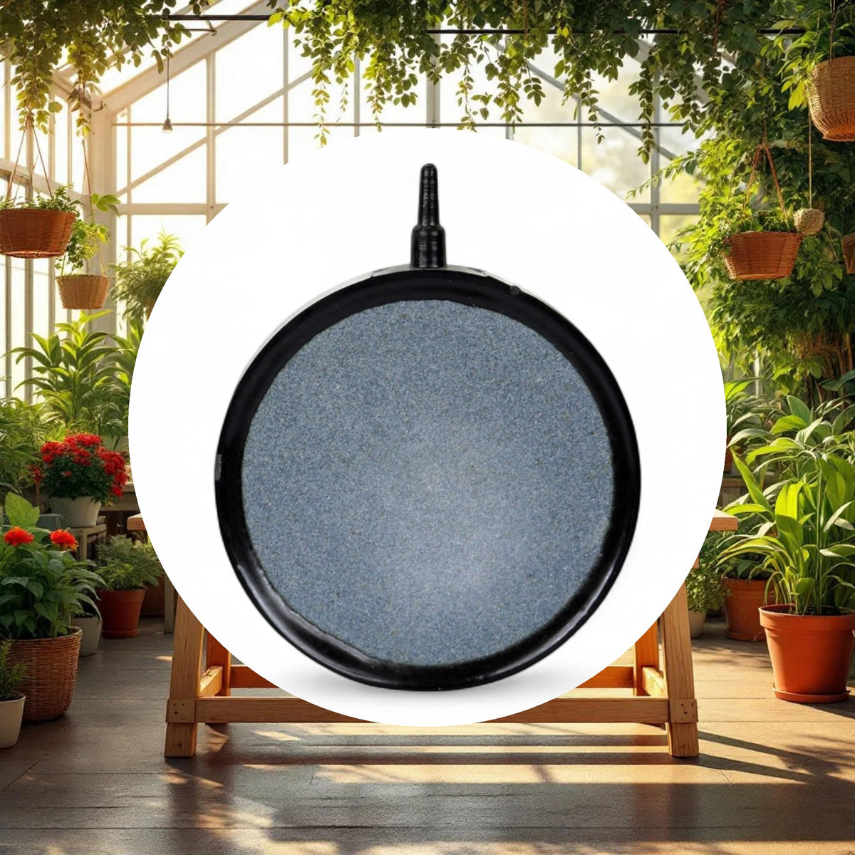 AquaVita 10'' Round Air Stone - Image 3