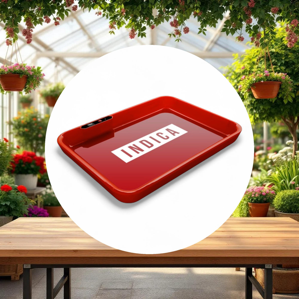 Dope Trays x Indica -  red background white logo - Image 3
