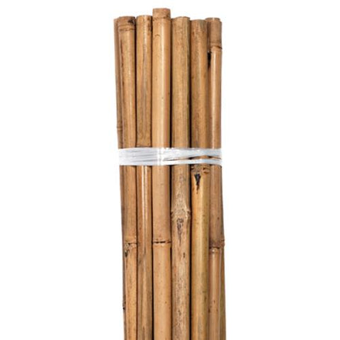 6' Natural Bamboo Stakes Bulk (250/bale)