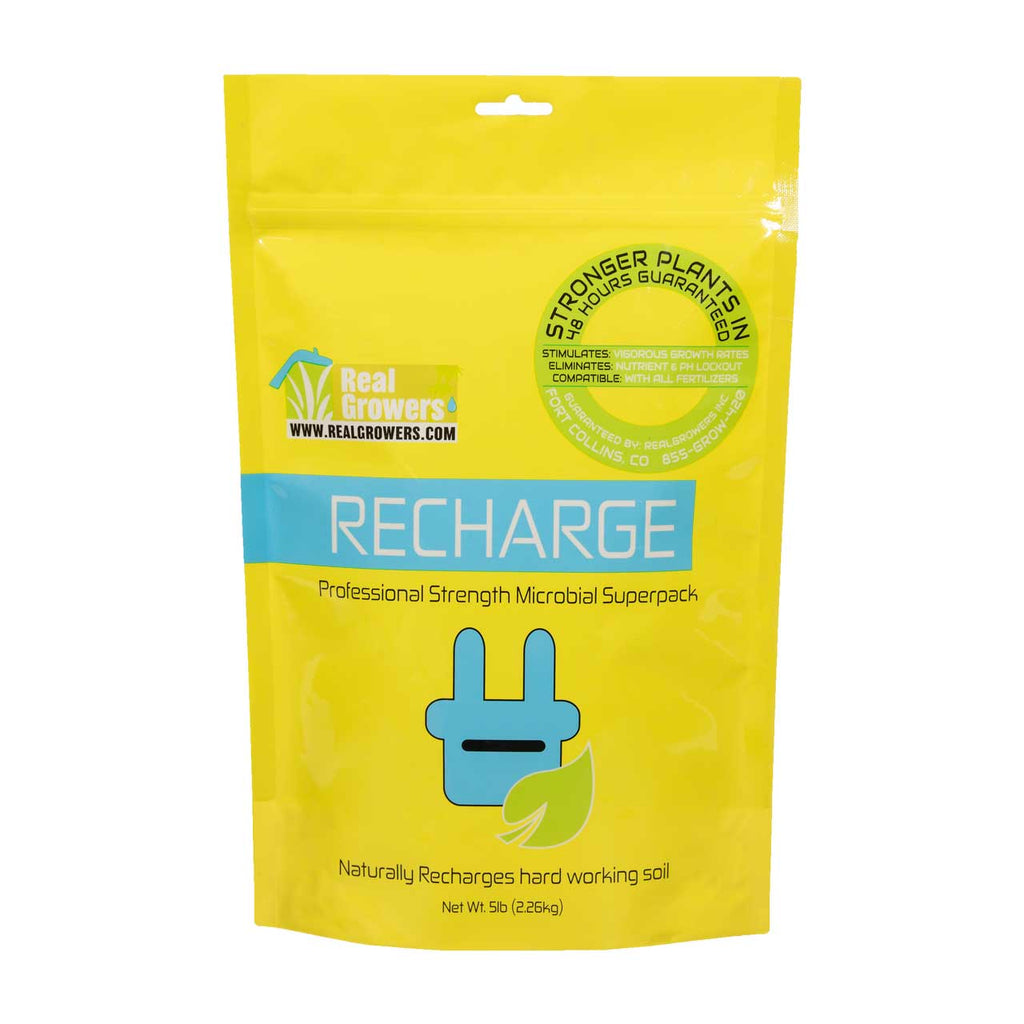 Real Growers Recharge 8 oz